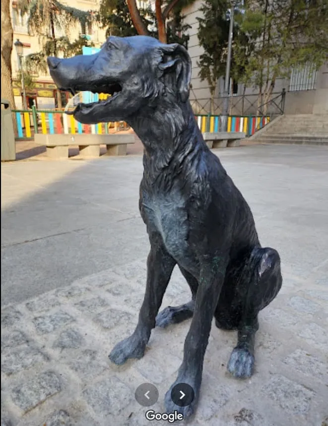 El-perro-paco-en-madrid