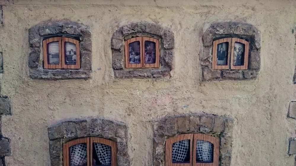 casa de los gatos