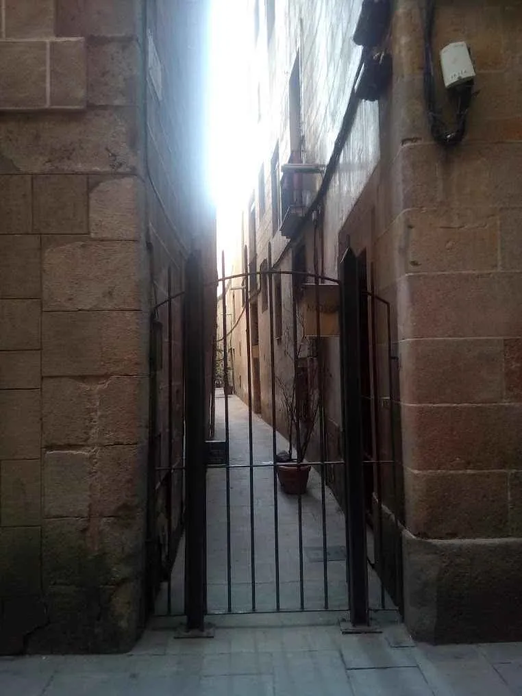 reja que impide el paso a la calle de les mosques en barcelona