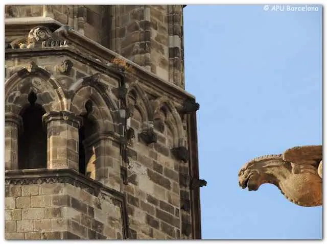 campanario de la catedral con el caracol esculpido barcelona