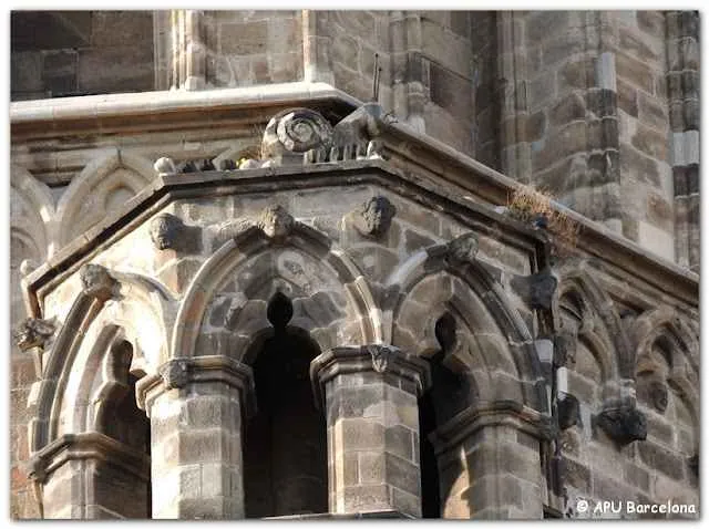 caracol esculpido catedral de barcelona