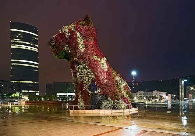 Puppy de noche en bilbao