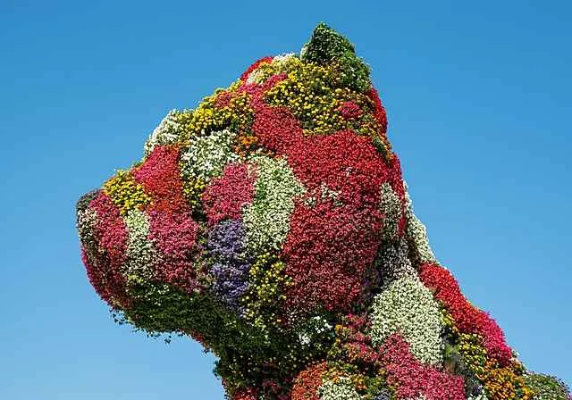 puppy el perro de flores