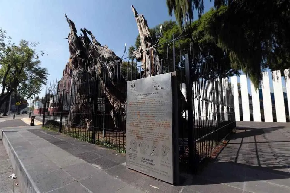 árbol de la noche triste