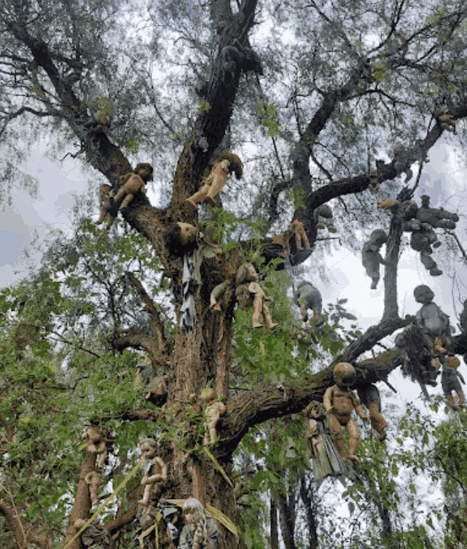arbol con muñecas en isla de la muñeca