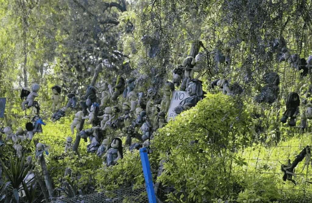 paisaje en la isla de las muñecas xochimilco
