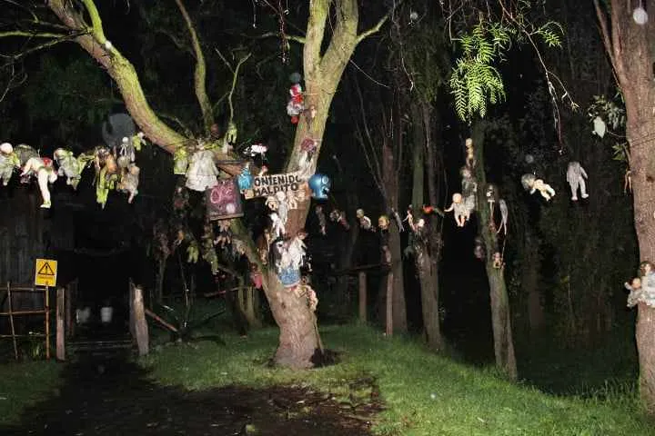 isla de las muñecas de noche