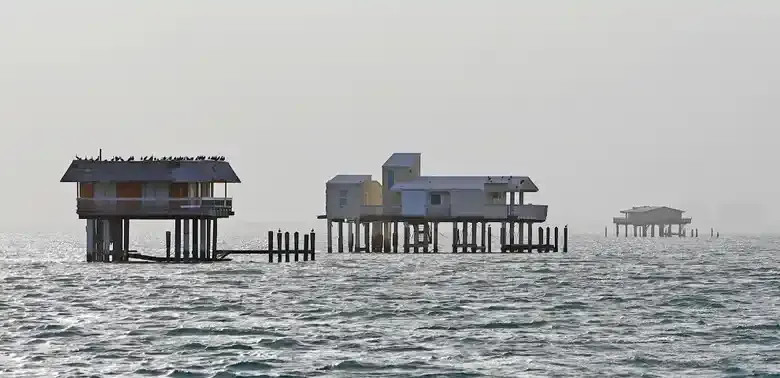 stiltsville miami