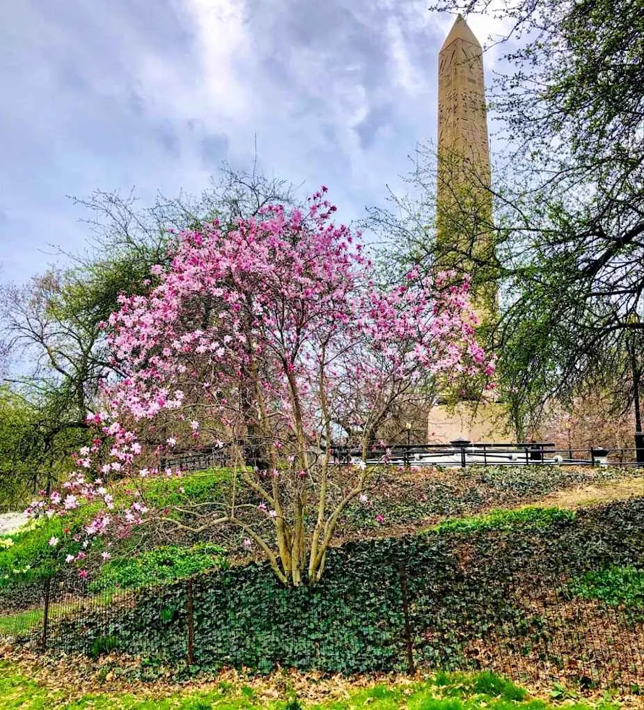 Obelisco Cleopatra's Needle, un hito en Central Park