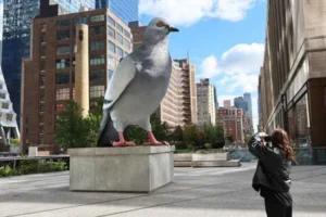 La Paloma Gigante que trae humor a Nueva York