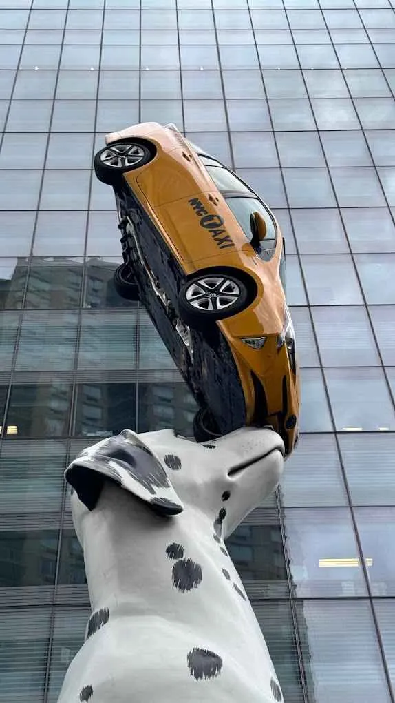 perro gigante y taxi amarillo