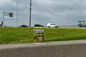 El misterio del tarro de pepinillos en Des Peres