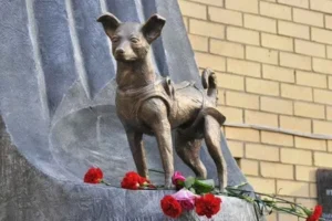Monumento a Laika, la primera perra en orbitar la Tierra, en Moscú