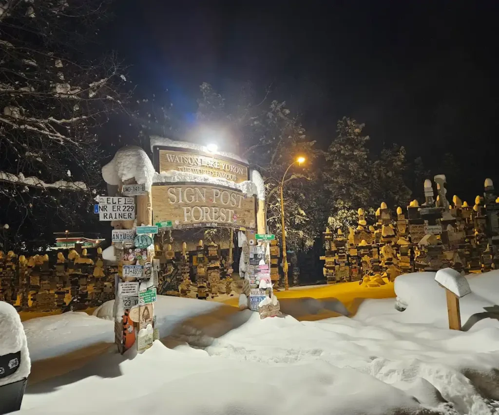 entrada principal del Sign Post Forest de noche en invierno