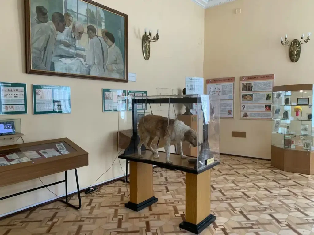 exposicion en el museo de la higiene sobre el perroo de pavlov sna petersburgo