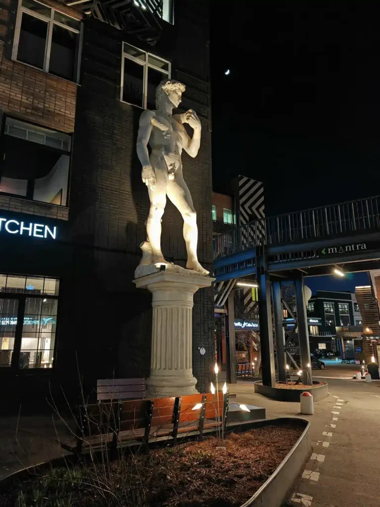 el david de miguel angel de noche