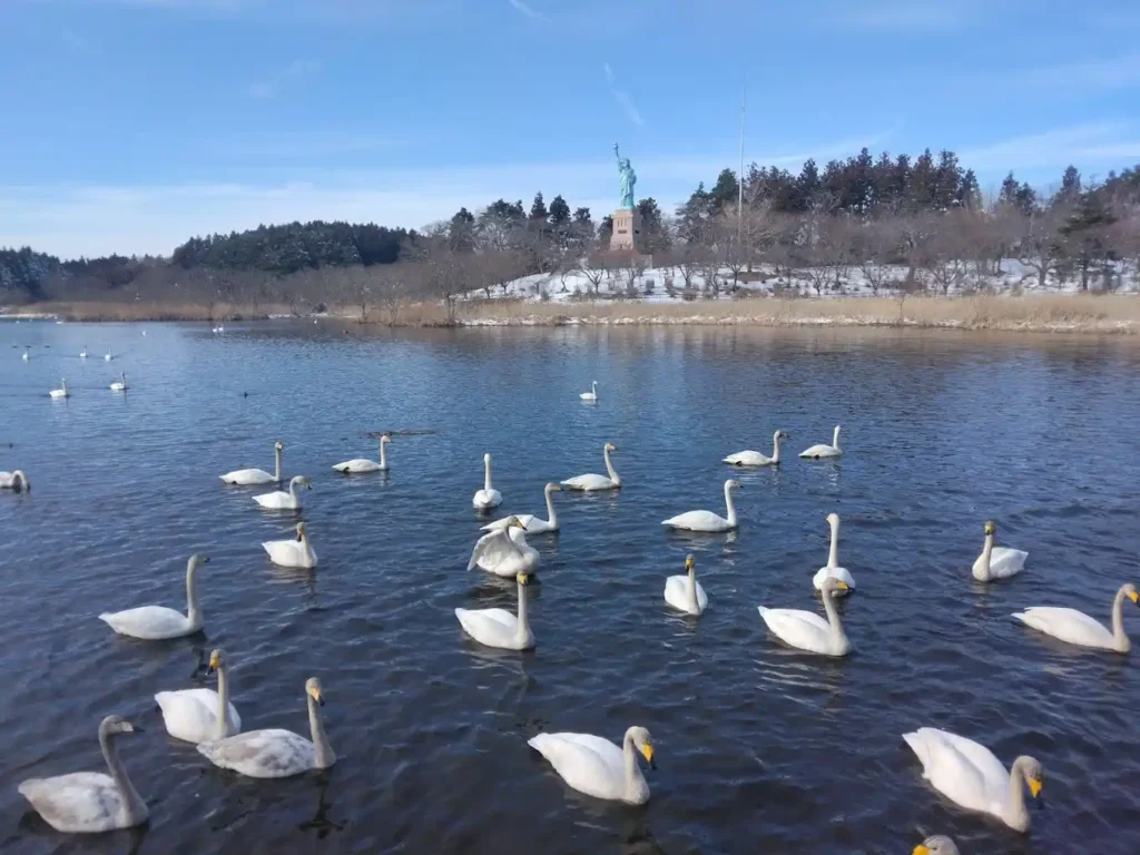lago de los cisnes cerca de la estatua de la libertad mas grande de japon