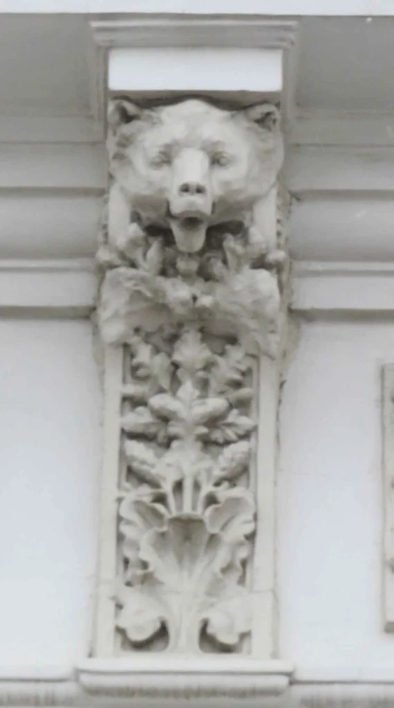 un oso scandote la lengua
