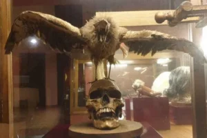 museo lara en ronda malaga museo de curiosidades y brujeria