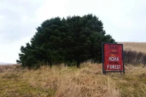 bosque nacional de adak, el mas pequeño de america