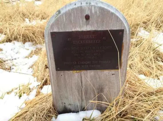 tumba de un perrito con un gran epitafio en adak
