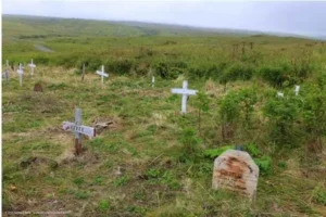 el cementerio de mascota mas occidental de estados unidos