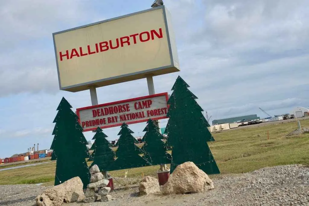 un bosque simbolico ya que en deadhorse no crecen arboles