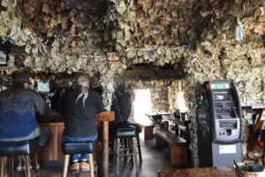 pub-bar Salty Dawg Saloon en Homer Spit Alaska decorado con billetes de dolar