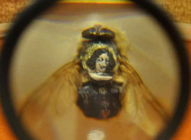 retrato sobre una mosca en el museo microminiatura