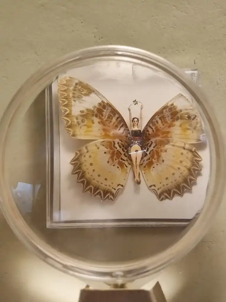 mujer con alas de mariposa en miniatura