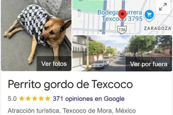 atraccion turstica el perro gordo de texcoco de mora