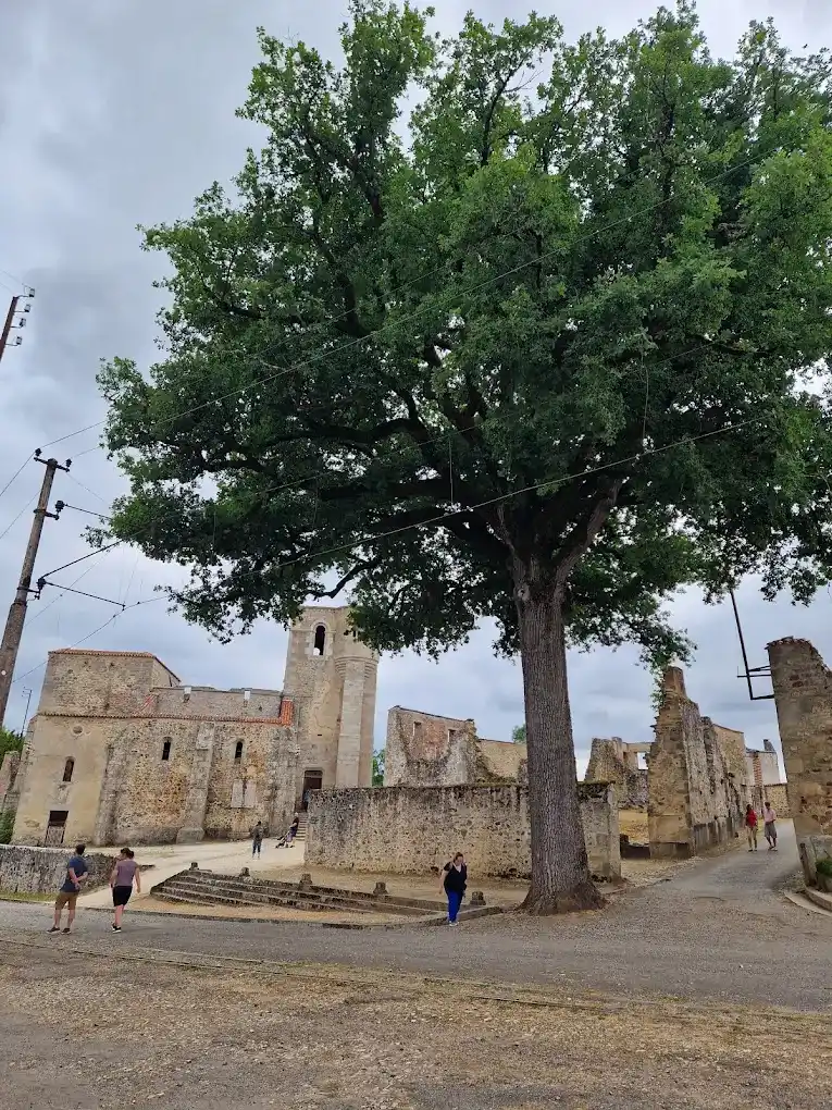 un arbol en medio de las ruinas de oradour su glane