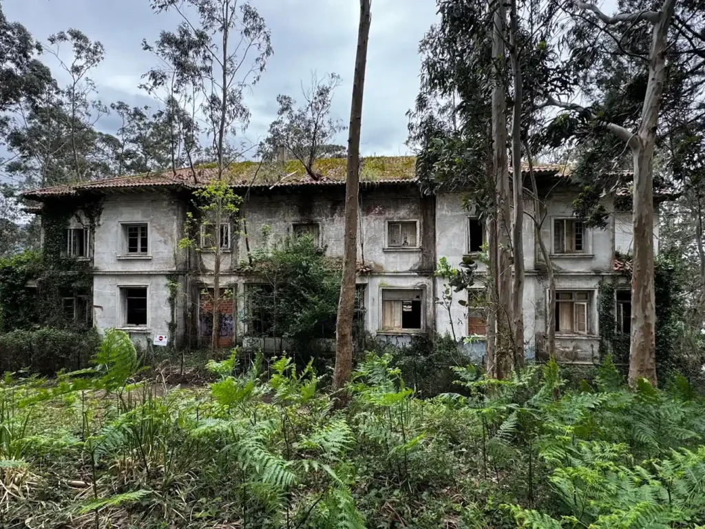 edificio cubierto por la malesa en isla de pedrosa