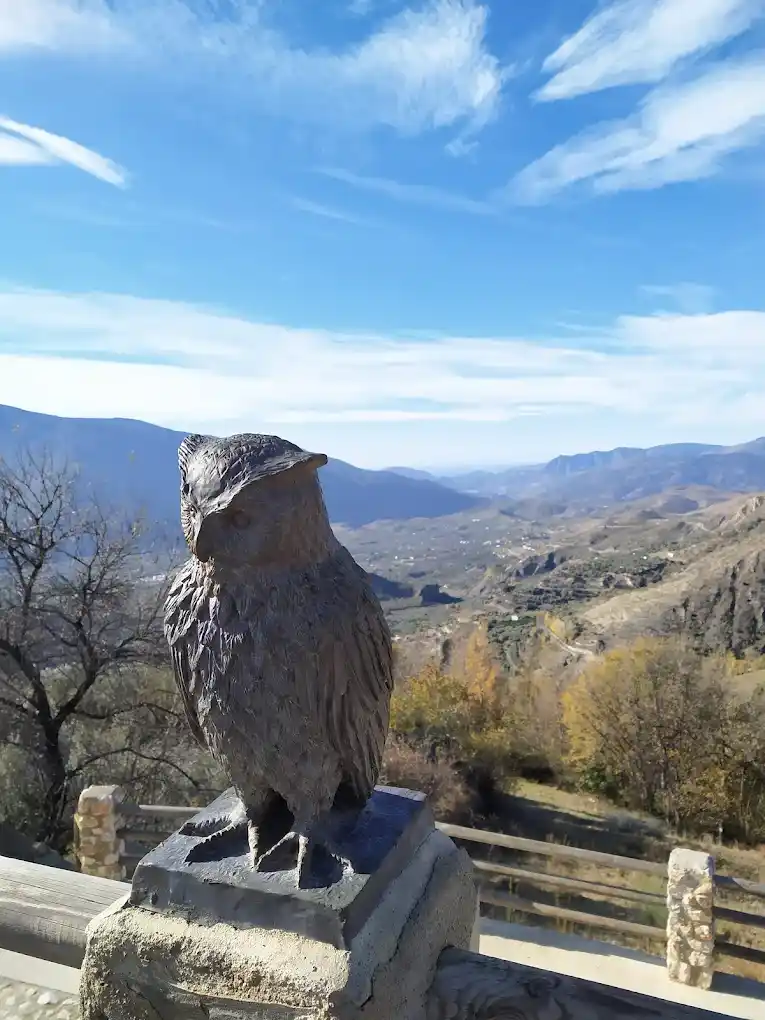 lechuza o buho en el mirador del aquelarre