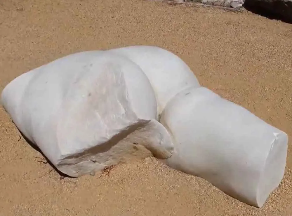 trasero del david de miguel angel