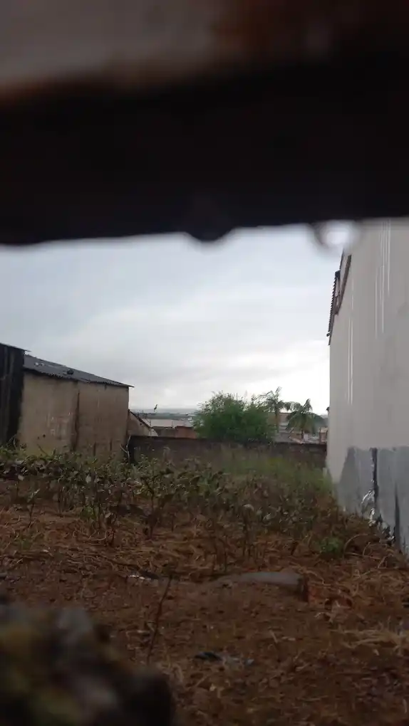 vista del terreno donde ocurrio el avistamiento extraterrestre en varginha