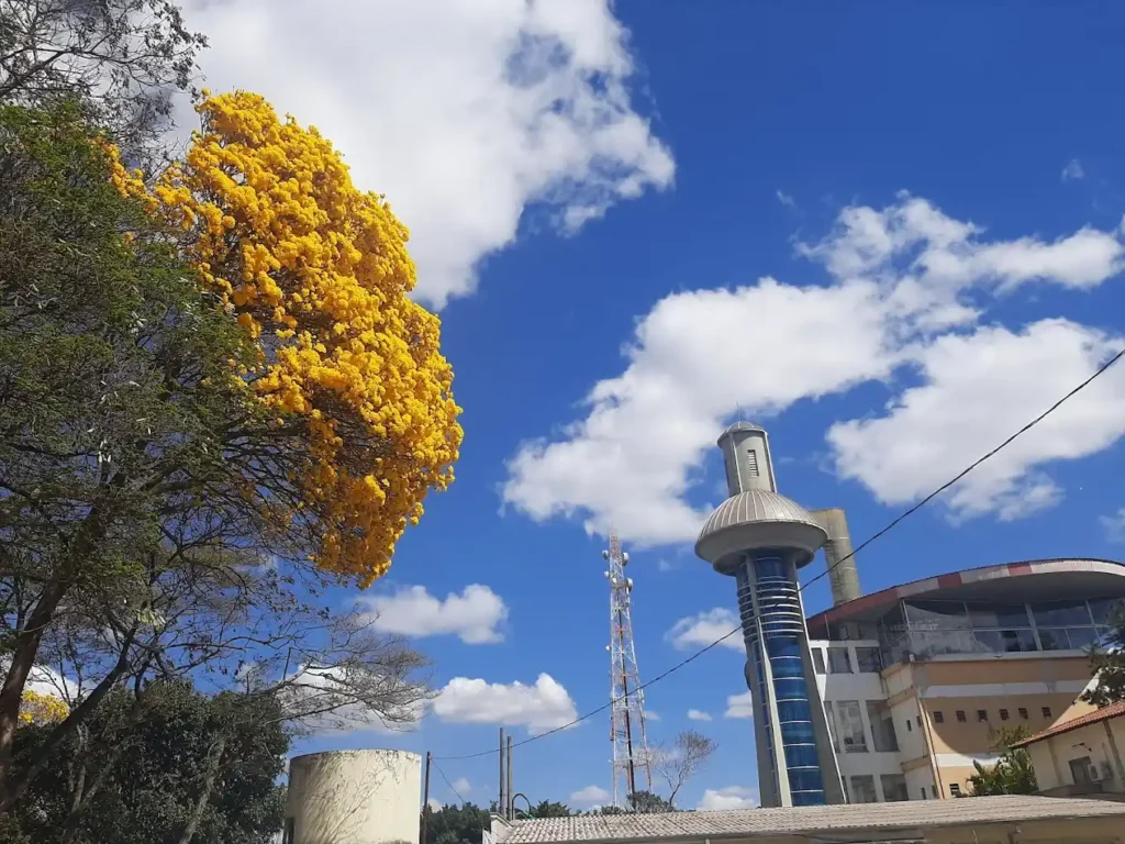 ayuntamiento de varginha