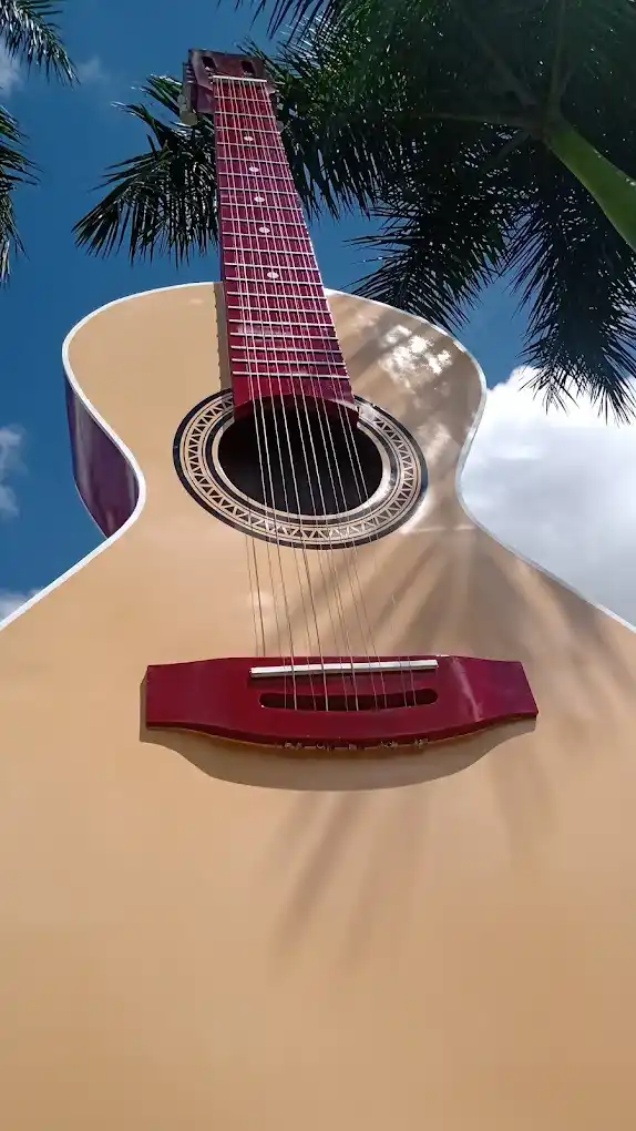 Mayor Viola Caipira del Mundo