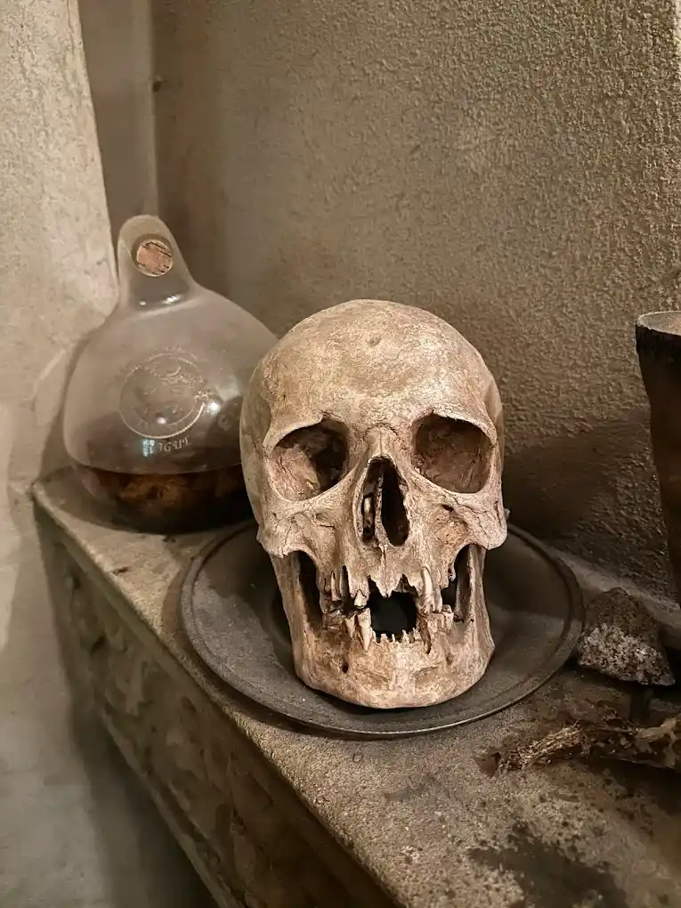 craneo usado por alquimista