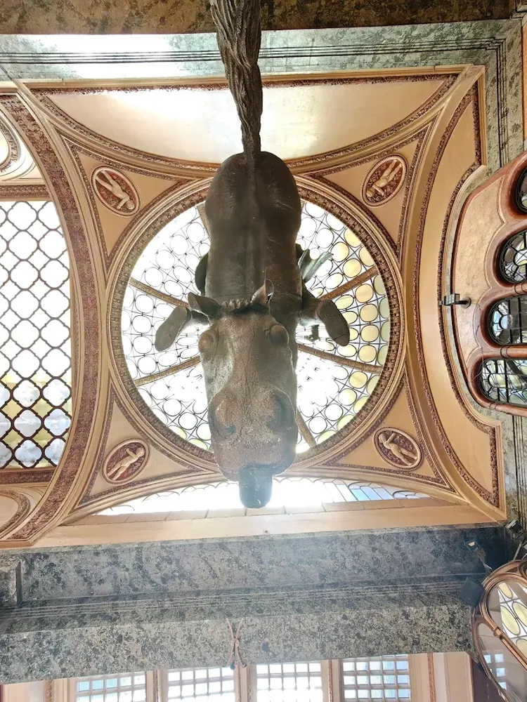 Estatua ecuestre invertida de San Wenceslao colgando del techo abovedado de un edificio clásico con tragaluz circular.